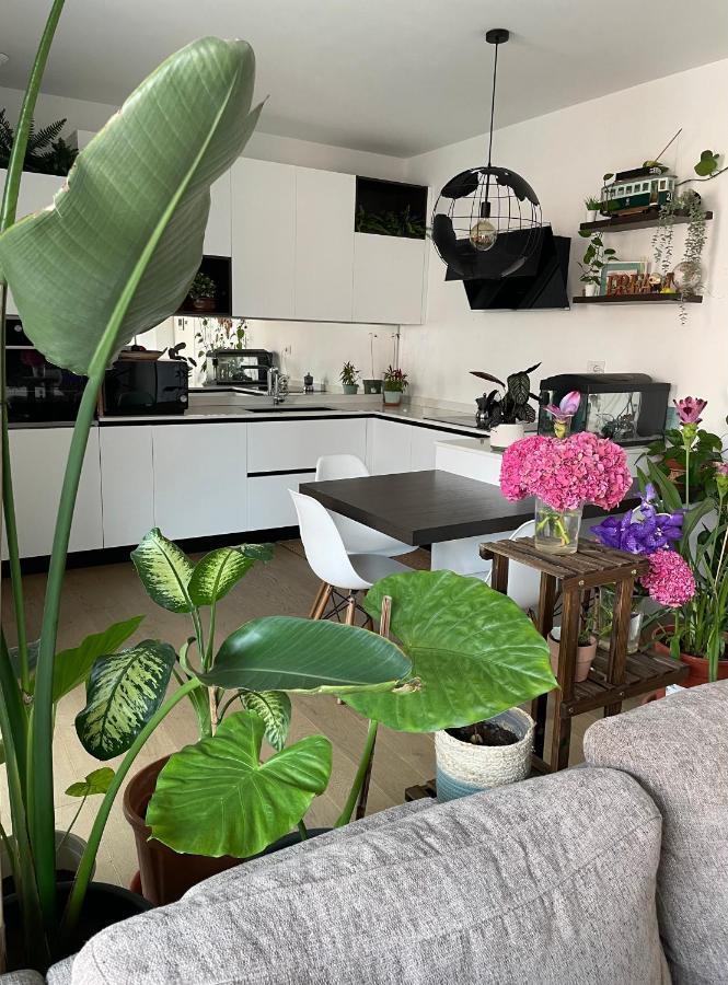 Mowgli House - Milano Luxury Apartment Private Room Dış mekan fotoğraf
